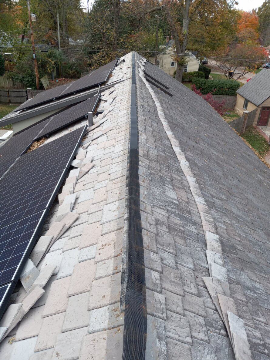 wildlife damage repair and exclusion on roof
