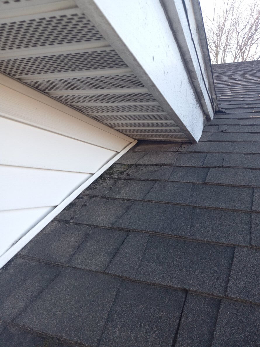 roof damage of wildlife getting in roofline in Springfield MO