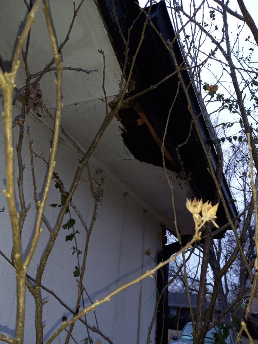 animal damage in roof of home caught by Kennedy Wildlife Removal in Springfield MO