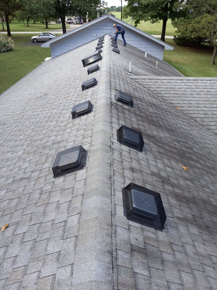 wildlife damage fixes and exclusions in Springfield MO to fix damage